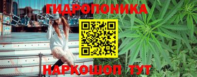 молекула духа Нальчик