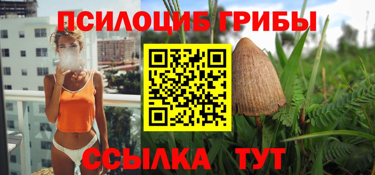 Псилоцибиновые грибы мухоморы Химки